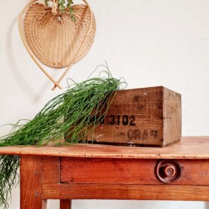 Cette boîte en bois fut retrouvée dans un vieil atelier, une oubliée.