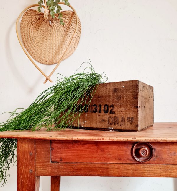 Cette boîte en bois fut retrouvée dans un vieil atelier, une oubliée.