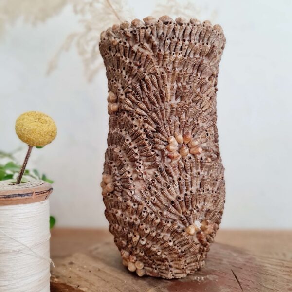 Vase ancien en coquillages