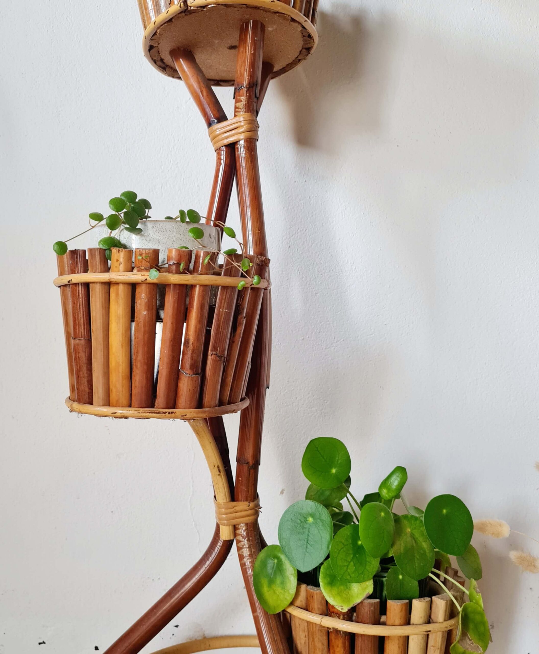 Gros plan sur les deux niveaux inférieurs du porte-plante en bambou, mettant en valeur un pot suspendu avec une plante retombante et un Pilea peperomioides installé dans le cache-pot inférieur.