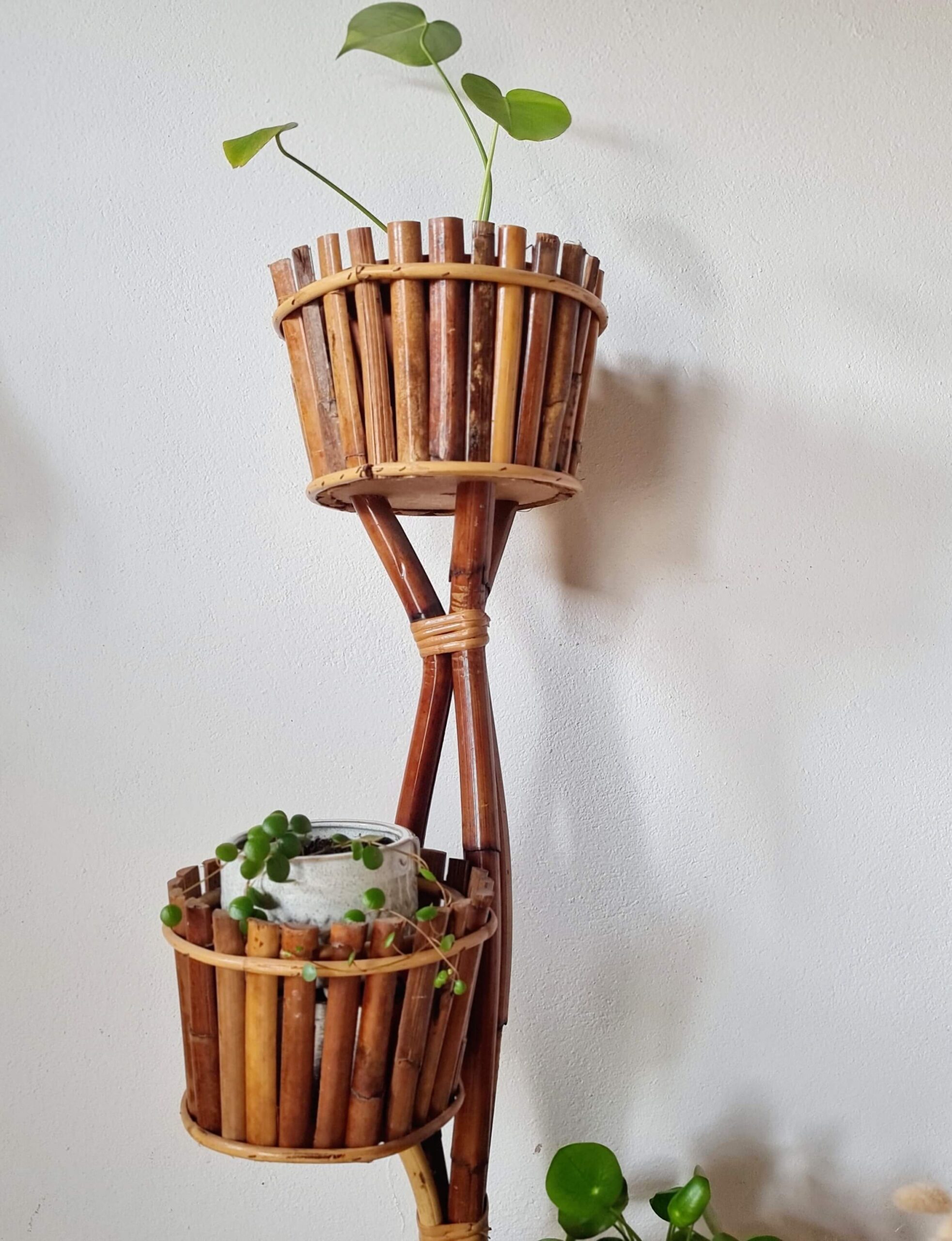 Vue rapprochée des deux étages supérieurs d'un porte-plante en rotin, montrant le pot du haut avec une jeune Monstera et le pot du milieu avec une plante retombante.