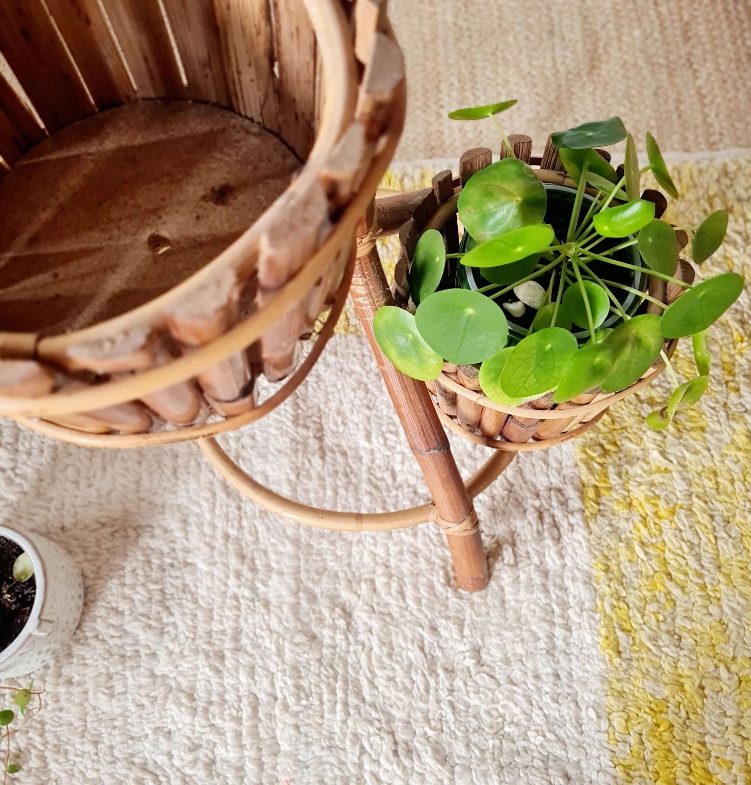 Vue en plongée montrant le pot inférieur d'un support en bambou, garni d'un Pilea peperomioides bien fourni, posé sur un tapis texturé de couleur crème.