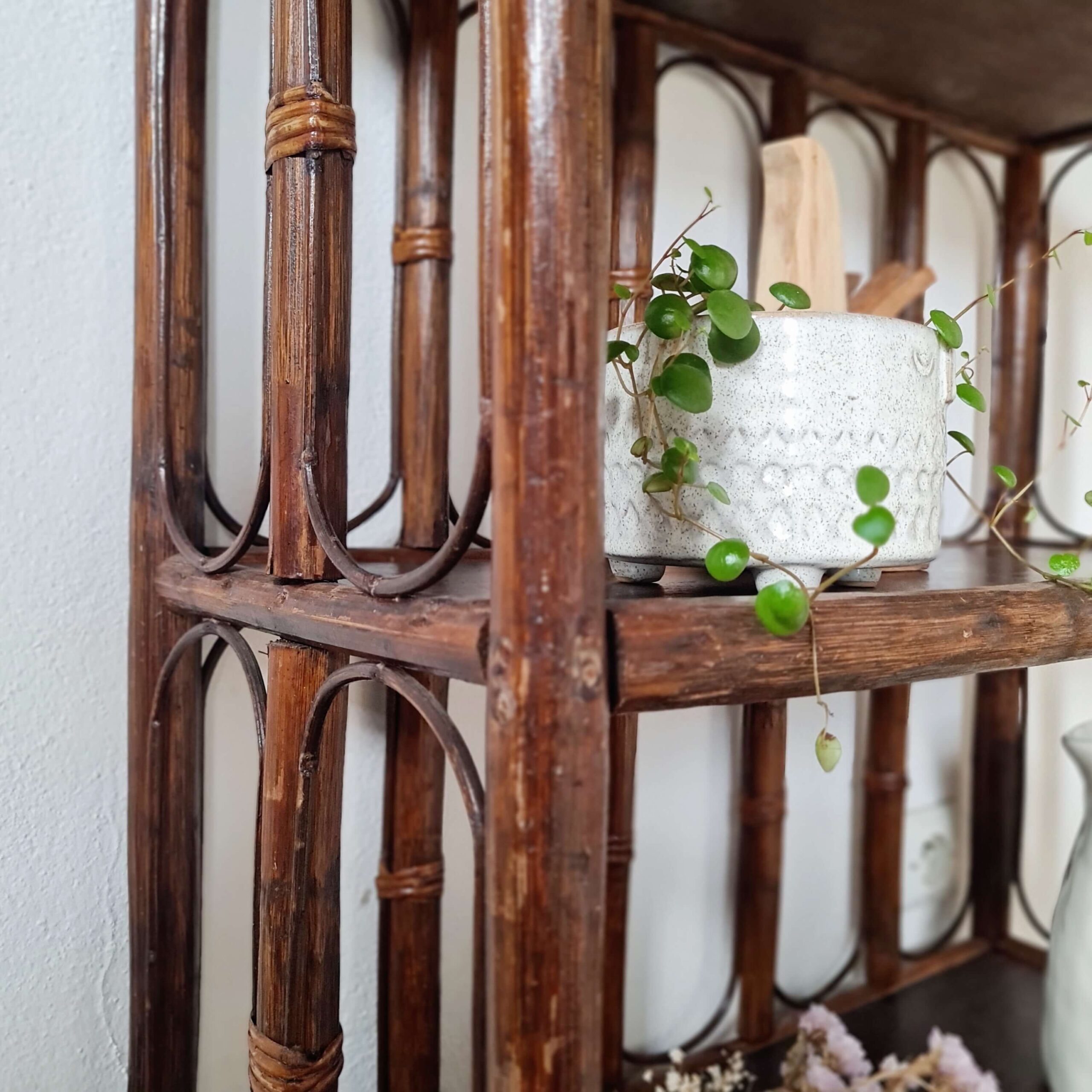 Petite plante sur meuble en rotin foncé
