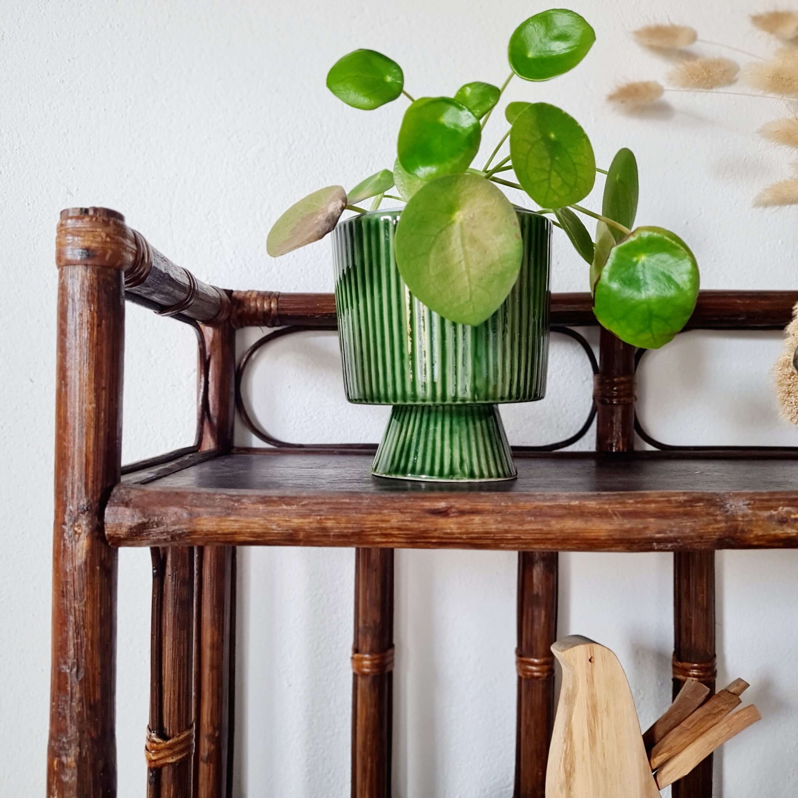 Détail plante verte et rotin foncé : étagère vintage